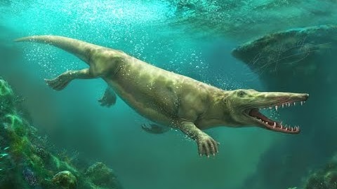 "Sự Tiến Hóa Kỳ Diệu Của Cá Voi: Từ Đất Liền Đến Đại Dương"