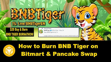 How to Burn BNB Tiger on Pancake Swap & Bitmart. Massive BNB Tiger Burn Coming June 1!
