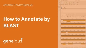How to Annotate by BLAST in Geneious Prime