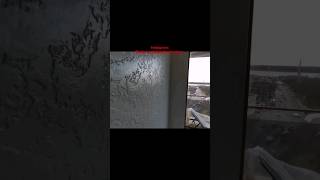 decor, dekoratyvine siena