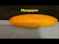 мандарин