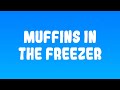 TIAGZ Muffins In The Freezer