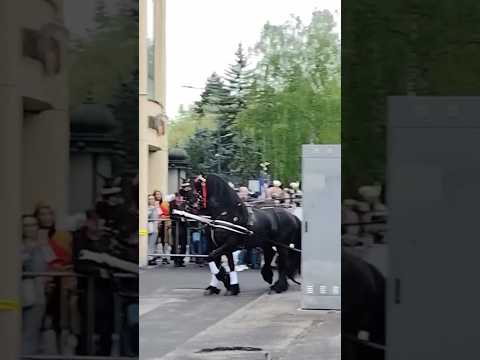 Short video