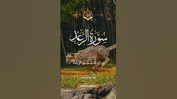 SURAH AL RAAID#سورة الرعد#quran #urdu translation #islamic video #viralvideo