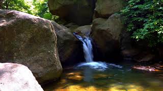 River Sounds Calm Night Forest River Gentle Stream 🍀 White Noise Deep Sleep Calm