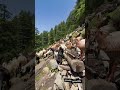 Life in mountains... #travel #goodlife #mountains #nature #shorts #swat
