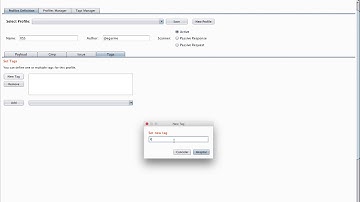Reflected and Stored XSS with BurpBounty