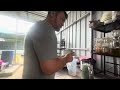 DIY buat air limau kasturi peng | lunch hour with family