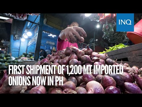 First shipment of 1,200 MT imported onions now in PH