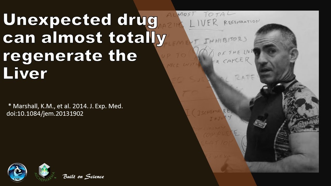 Unexpected drug can almost totally regenerate the liver youtube