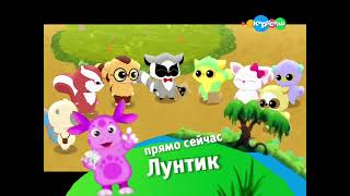 Топ 16 плашек на каруселе (12.02.2017)