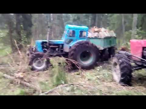 Т-40 валит деревья с корнем, тянем 2 прицепа ольхи.