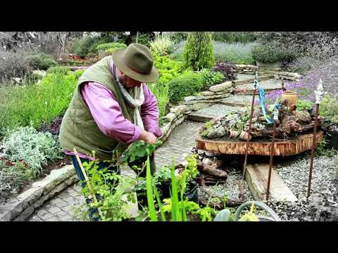 ჩვენთან გაზაფხულია