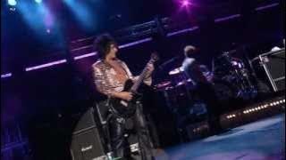 Billy Idol - Flesh For Fantasy 2009 'Chicago' Live Video HD