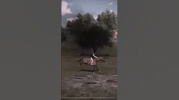 الخيل تلاكت وية الخيل وصاحت طربك لايك ببجي Football اكسبلور الشعبالصينيمالهحل اكسبلورر 