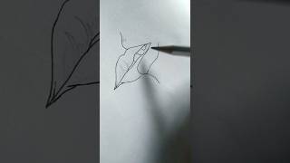 Romantic couple drawing very easy #romanticstatus #romantic#couple#trending #youtubeshorts #drawing Romantic couple drawing very easy #romanticstatus #romantic#couple#trending #youtubeshorts #drawing
