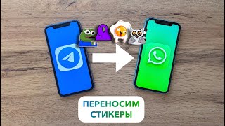 Как добавить СТИКЕРЫ из Telegram в WhatsApp на Android - пара минут и готово 👌
