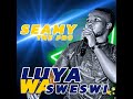 seamy the pro luya wa sweswi