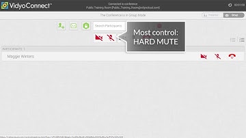 VidyoConnect: How to Manage and Control My Video Meeting