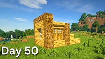 Building A House But Only Adding One Block A Day (Day 50)