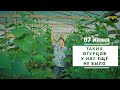 Что происходит с огурцами? Таких огурцов у нас ещё не было в первых числах июня!