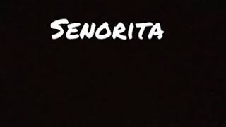 Shawn Mendes und Camila cabello - senorita - (German lyrics)