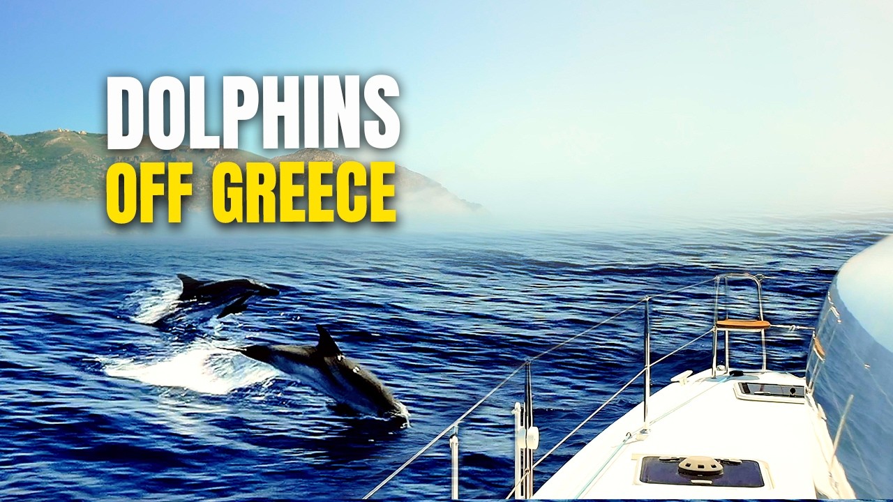 Sailing Greece: Seeing Dolphins & Whales in the Mediterranean