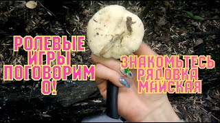Рядовка майсквая, пецица, шампиньоны и ложный опёнок. Расскажу о страйкболе.