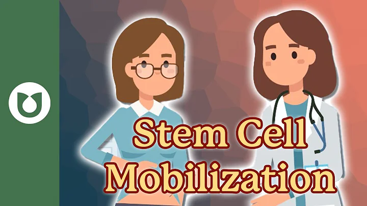 What's the secret to collecting enough stem cells for a life-saving transplant? #myeloma