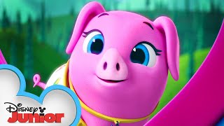 Pearl The Piglet Calling All T.o.t.s. T.o.t.s. Disney Junior