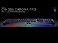 【RAZER】CYNOSA CHROMA PRO【開封動画】