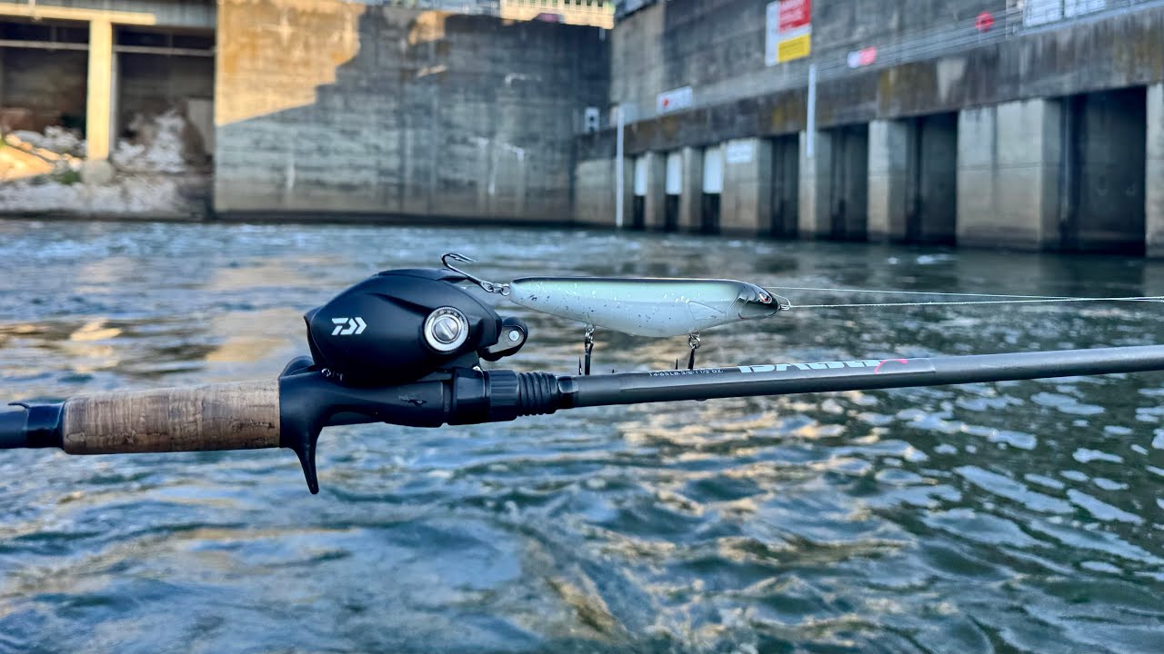 Tennessee Dam Striped Bass Fishing!!All they want Is Top Water!! Early morning Action
