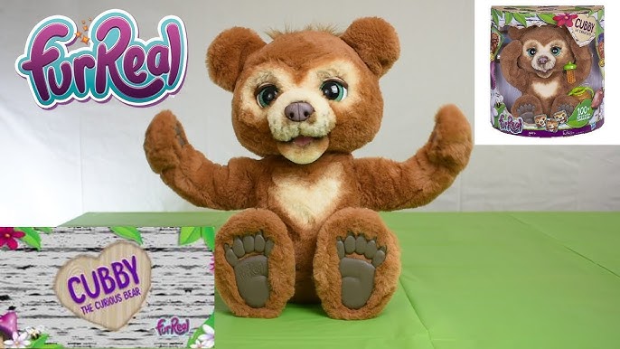 Peluche interactive Cubby l'Ours curieux - Furreal friends Hasbro