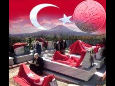 Tgrt Mehmetçik Müziği ( Şehitlerimizin Anısına )