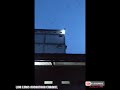 Reaksi Burung Walet Pulang Ketika Hari Mulai Gelap Dan Tidak Menemukan Suara Mp3 - Mp4 Download