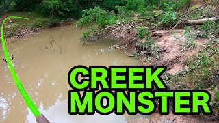 100 LB MONSTER in a TINY CREEK!!