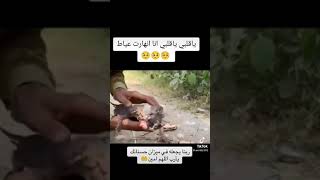 ربنا يجعله في ميزان حسناتك يارب اللهم امين🤲 #cat #chat #chatnoir🐈