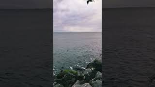 Deniz Kokusu 🩵 Resimi