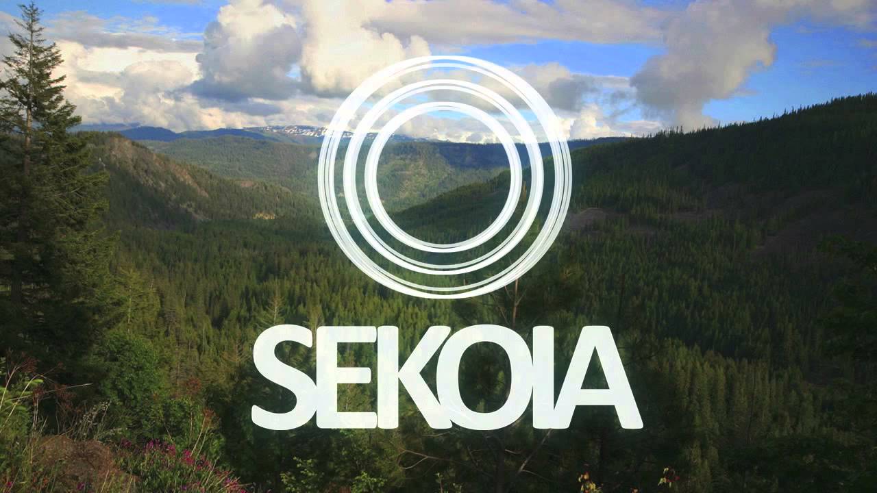 Efdemin   Bergwein Original Mix)