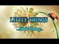 Stevie Hoang - Little Things ( Lyrics )