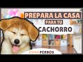 Cómo PREPARAR LA CASA para la llegada de un CACHORRO