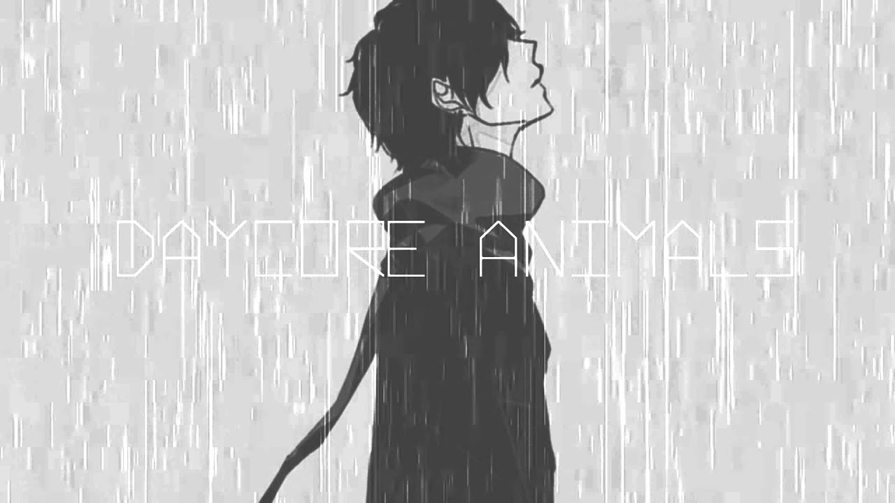 coreanito relleno Daycore ☻ Animals