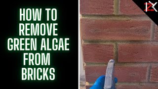 How To Remove Green Algae From Bricks/Mortar - Cheapest Safest Home Method