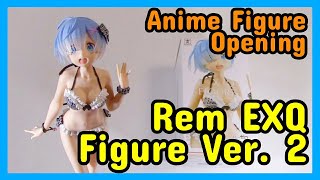 Rem EXQ Figure (Version 2) Opening