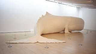 Mocha Dick Installation at Telfair Museums