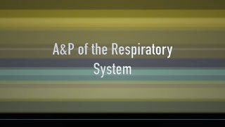 Respiratory Anatomy and Physiology of the Companion Animal (VETERINARY TECHNICIAN EDUCATION)