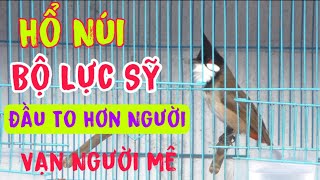 Đầu To Hơn Người  Bổi Thần Bộ Lực Sỹ  Giữ Như Hổ Núi / Phách Đánh Vạn Người Mê/ Mặt Sát Thủ