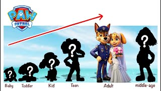 Paw Patrol Evolution Growing Up  @CartoonArt68