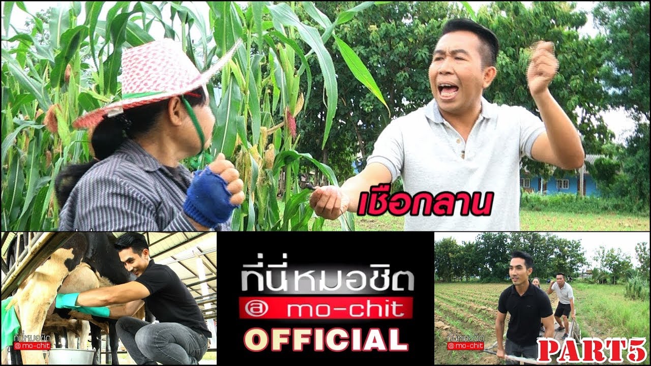 ที่นี่หมอชิต | ภารกิจพิเศษ 