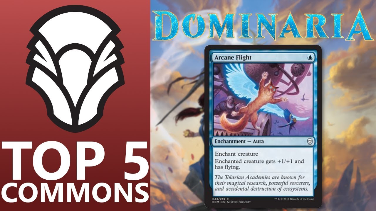 Top 5 - Best Common Cards from Dominaria for Pauper!